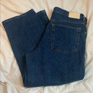 Everlane Organic Cotton Way High wide leg crop Jean size 31